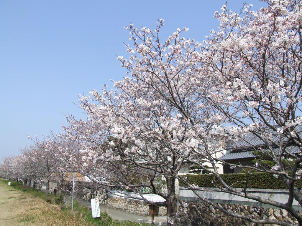 Jyoseikan Kōchi Kültér fotó